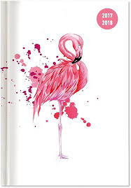 Diario Escolar Flamenco 2017-2018