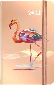 Agenda 2020 con Diseño de Flamencos - Idena 11429