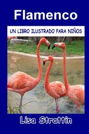 Flamenco: Aprendiendo en Español para Niños